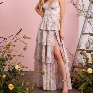 V Chapman Caterina Dress in Pink Rose Print
